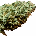 Ripkitty Indoor Big Apple Jack CBD Hemp Flowers - Image 5