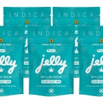 Not Your Bakery Jelly D9XP Vegan Gummies | 1000mg | 40pc | 5pk Bundle