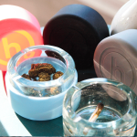 Smoke Honest Travel Glass Ashtray - Image 12